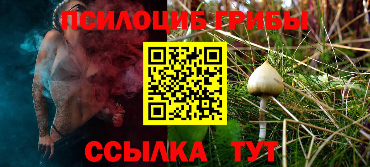 Псилоцибиновые грибы Psilocybine cubensis  Вход с VPN  Котовск 